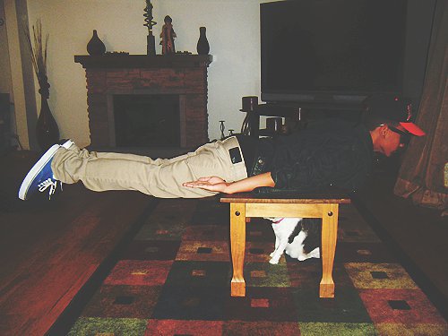 Coffee Table Plank